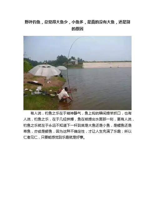 野外钓鱼，总觉得大鱼少，小鱼多，是真的没有大鱼，还是别的原因