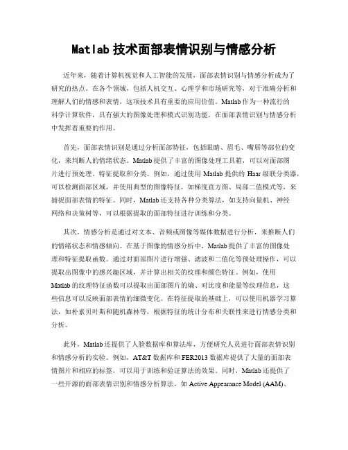 Matlab技术面部表情识别与情感分析