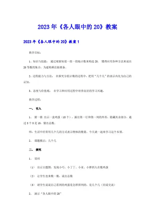 2023年《各人眼中的20》教案