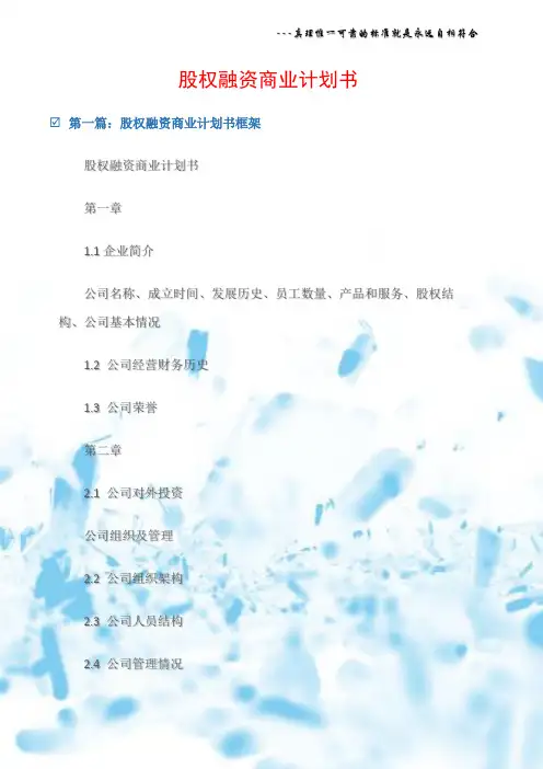 (商业计划书)股权融资商业计划书
