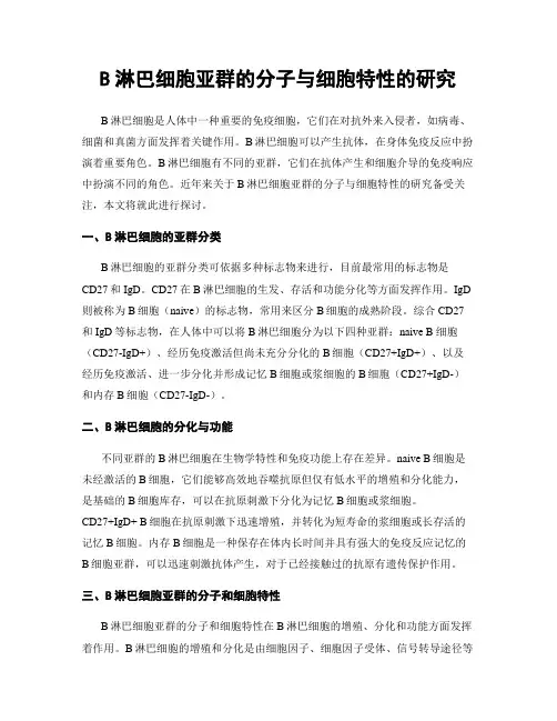 B淋巴细胞亚群的分子与细胞特性的研究