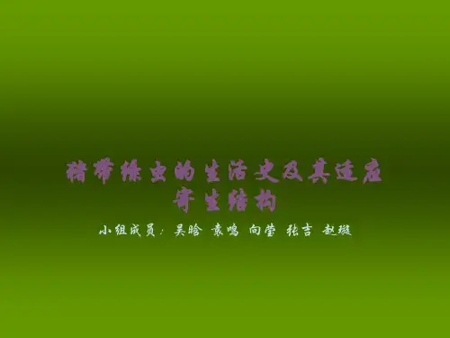 猪带绦虫的生活史及其寄生结构docxPPT课件