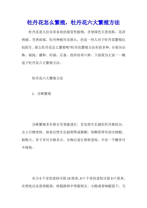 牡丹花怎么繁殖,牡丹花六大繁殖方法