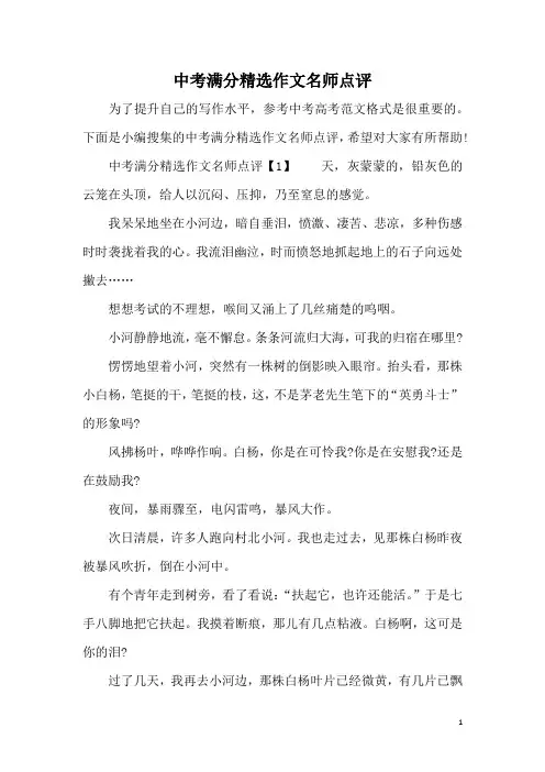 中考满分精选作文名师点评