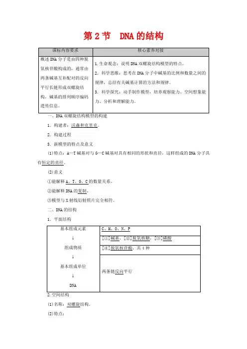 高中生物 第3章 基因的本质 第2节 DNA的结构教案 新人教版必修2-新人教版高中必修2生物教案