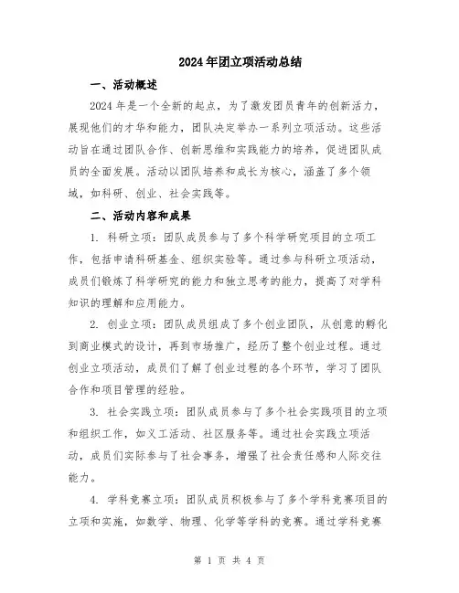 2024年团立项活动总结