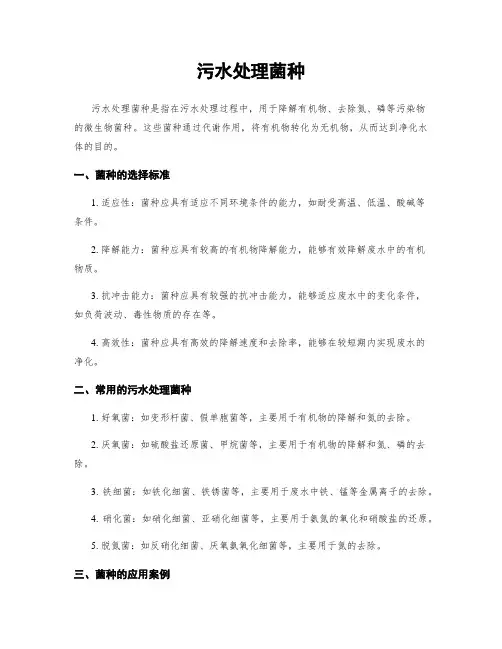 污水处理菌种