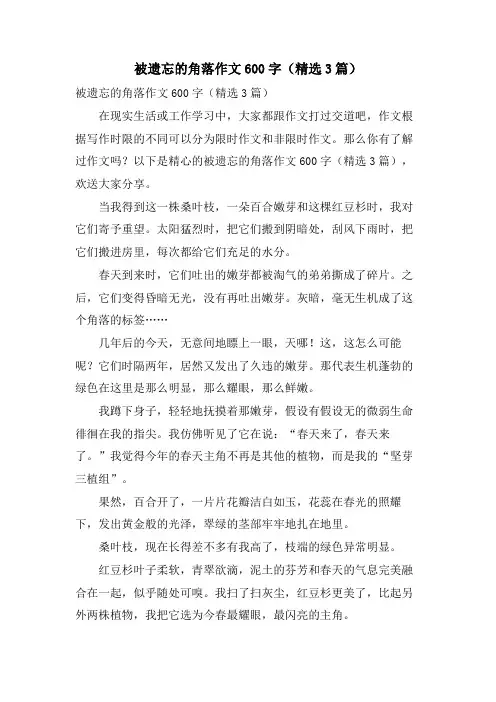 被遗忘的角落作文600字(3篇)