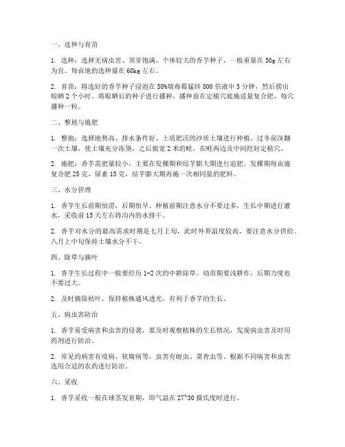 香芋种植_技术及管理