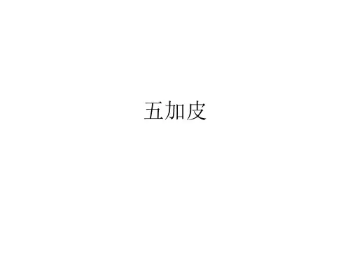 五加皮
