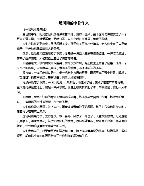 一场风雨的来临作文