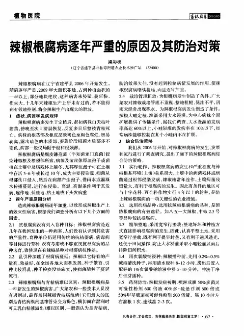 辣椒根腐病逐年严重的原因及其防治对策
