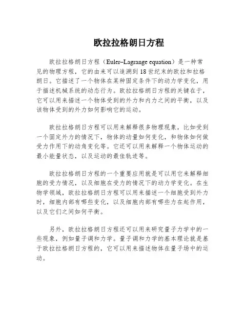 欧拉拉格朗日方程