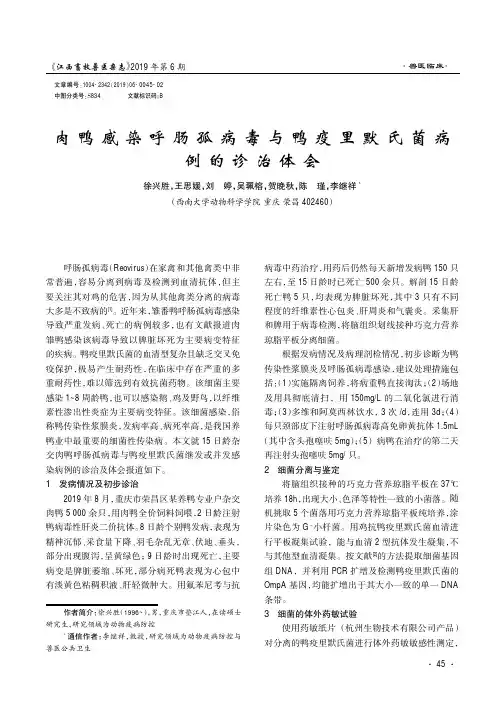 肉鸭感染呼肠孤病毒与鸭疫里默氏菌病例的诊治体会