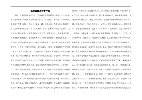 生命的意义初中作文