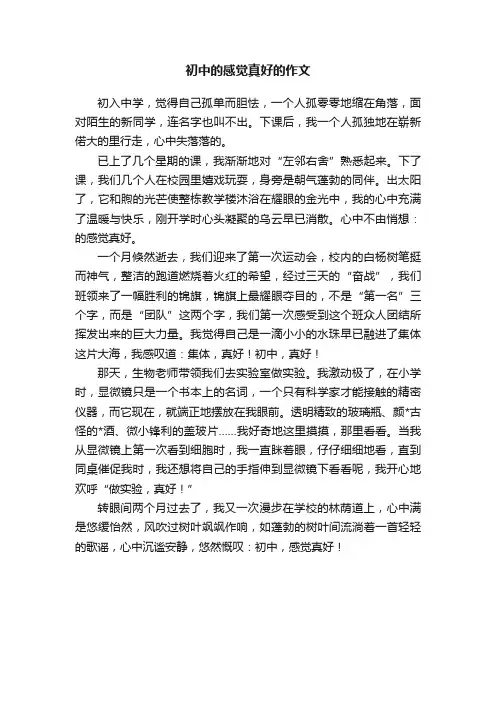初中的感觉真好的作文