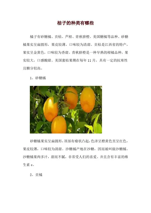 桔子的种类有哪些
