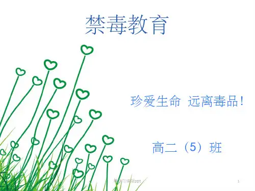禁毒教育PPT25412