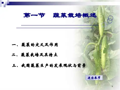 《蔬菜栽培技术》PPT课件