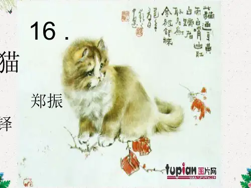 人教版七年级上册语文课件：16.猫(共28张PPT)