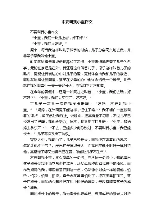 不要叫我小宝作文