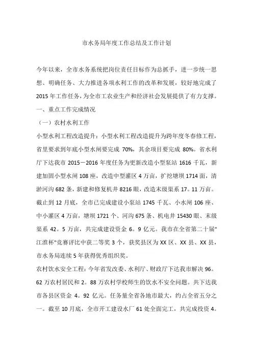 市水务局年度工作总结及工作计划
