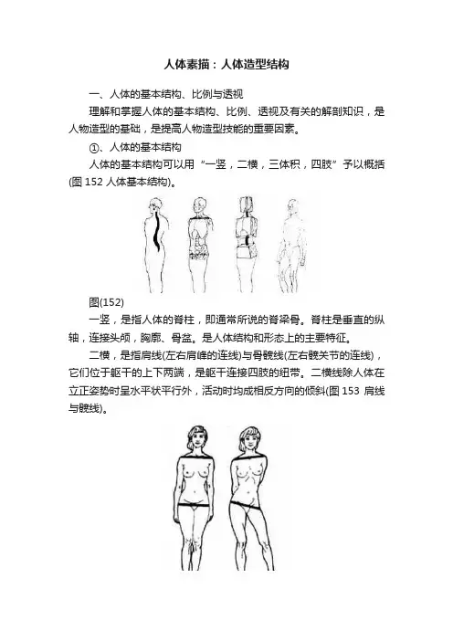 人体素描：人体造型结构