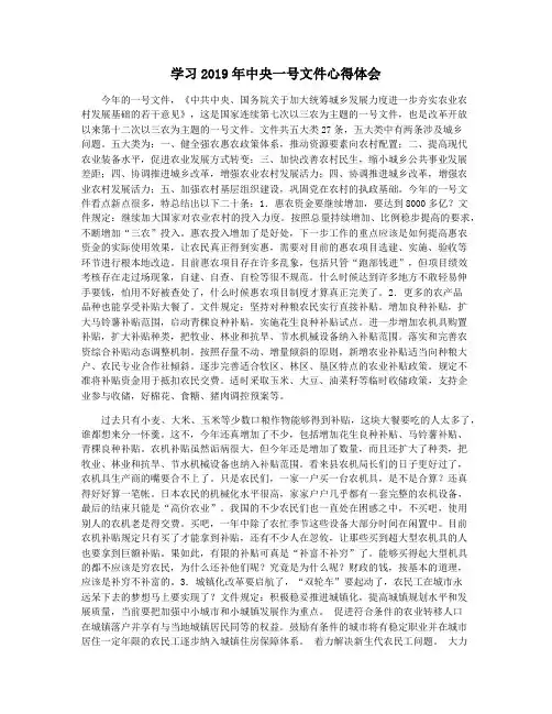 学习2019年中央一号文件心得体会