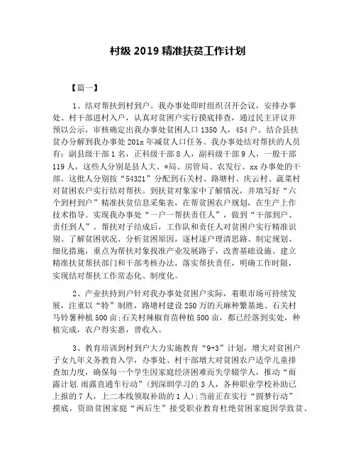 村级2019精准扶贫工作计划