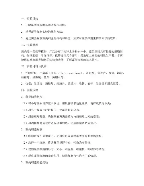 藻类细胞实验报告