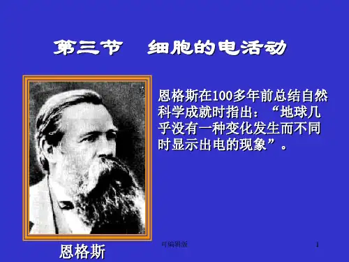细胞二细胞的电活动上届