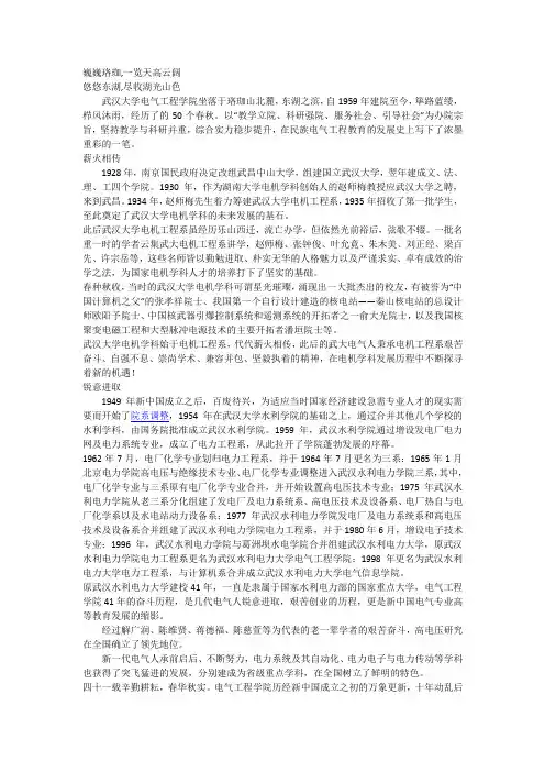 武大电气概况