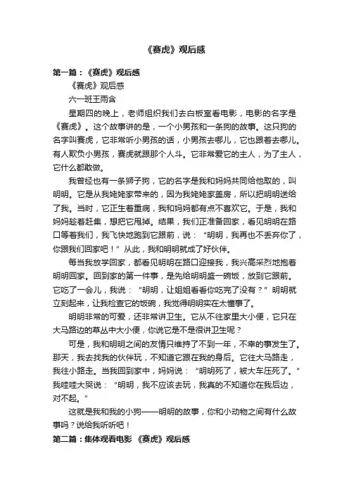 《赛虎》观后感