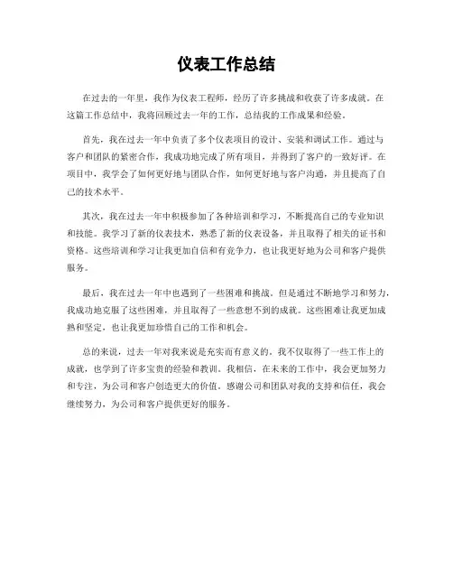 仪表工作总结