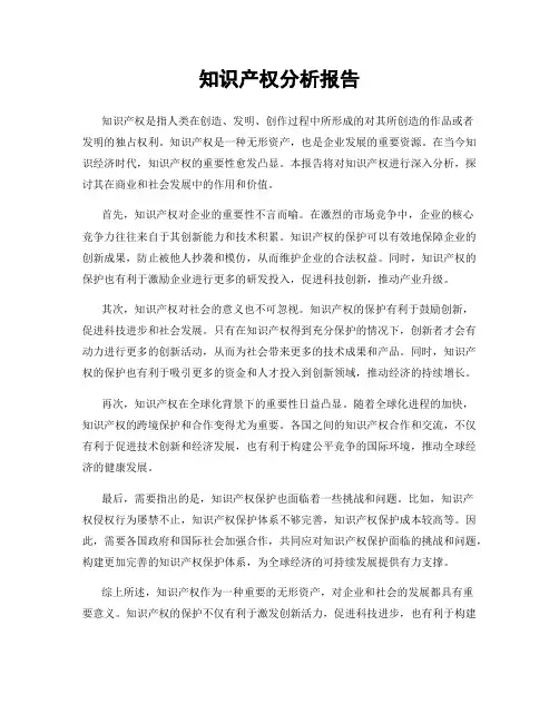 知识产权分析报告