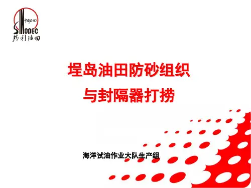 防砂的组织运行及封隔器打捞