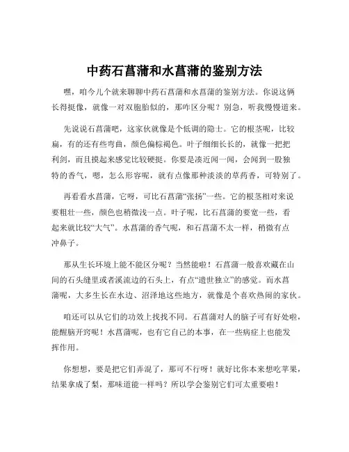 中药石菖蒲和水菖蒲的鉴别方法