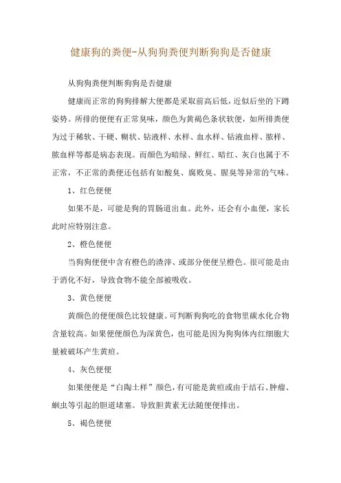 健康狗的粪便-从狗狗粪便判断狗狗是否健康