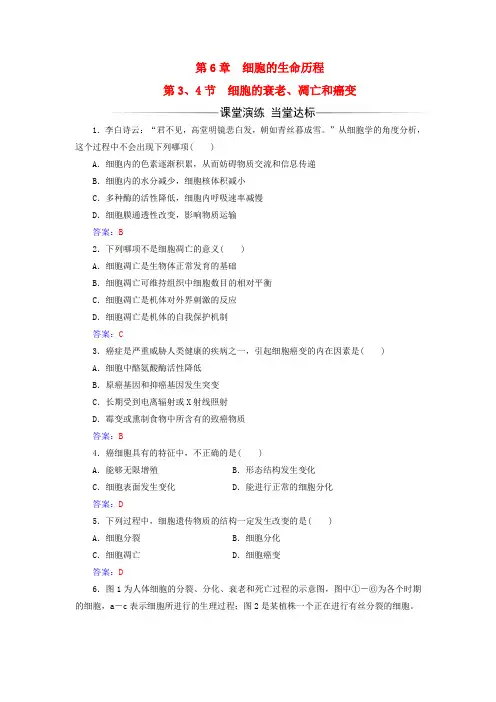 高中生物第6章细胞的生命历程第3节细胞的衰老、凋亡第4节细胞的癌变练习1解析