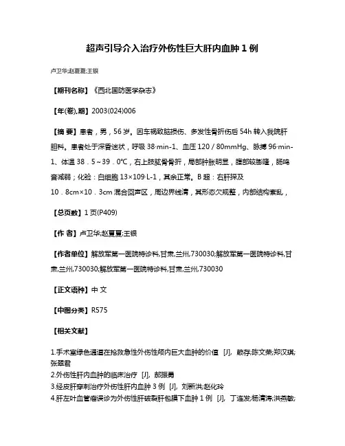 超声引导介入治疗外伤性巨大肝内血肿1例