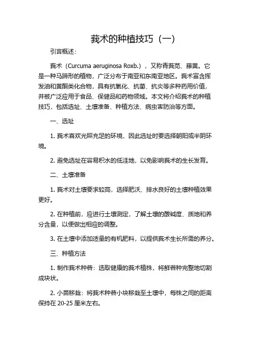 莪术的种植技巧(一)