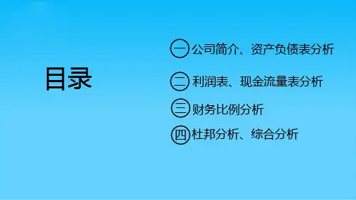 格力电器财务报表分析(第17小组)