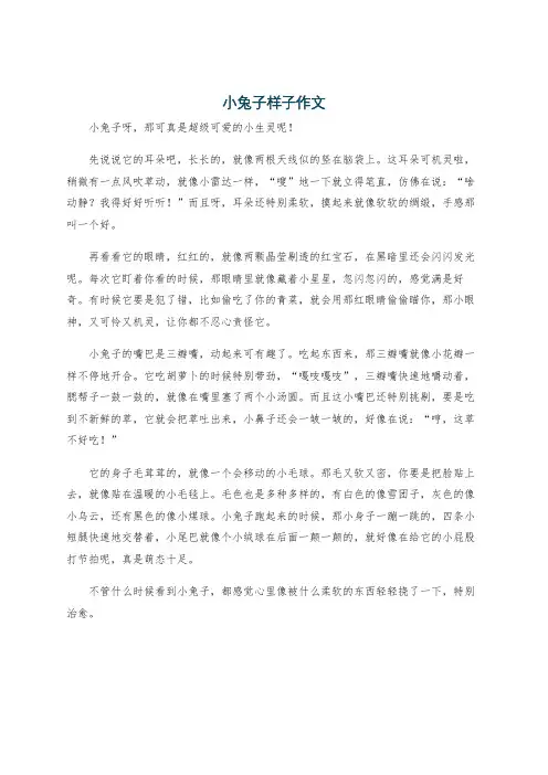 小兔子样子作文