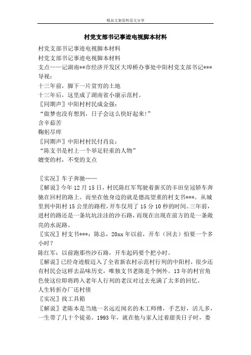 村党支部书记事迹电视脚本材料-精品文案范文
