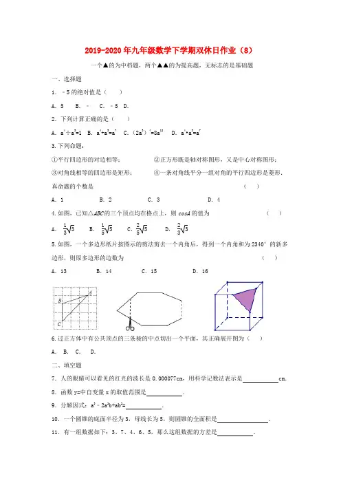 2019-2020年九年级数学下学期双休日作业(8)
