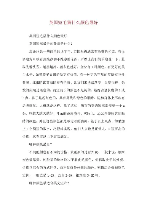 英国短毛猫什么颜色最好