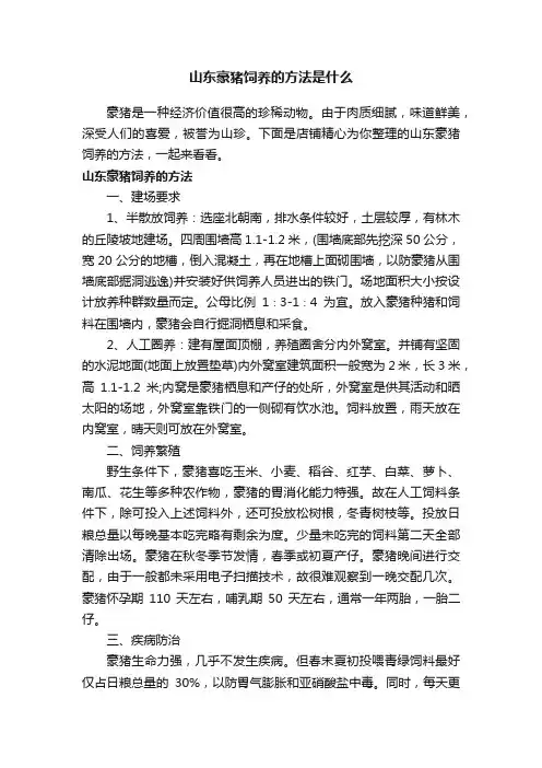 山东豪猪饲养的方法是什么