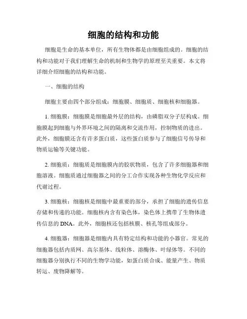 细胞的结构和功能