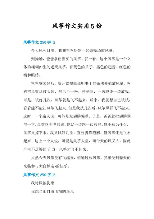 风筝作文实用5份
