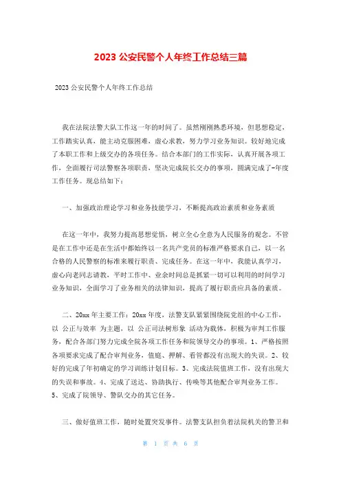 2023公安民警个人年终工作总结三篇